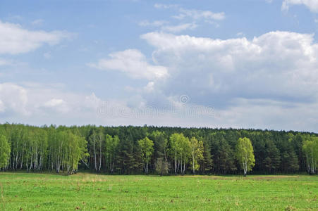 远处的田野和树林图片