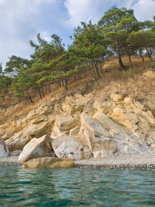 大海和岩石