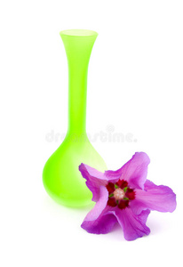 粉红芙蓉绿花瓶图片