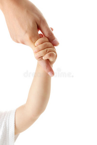 手握母指的婴儿