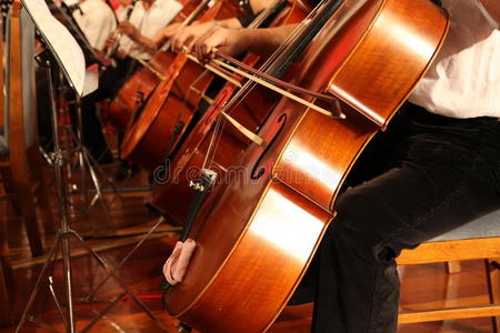 球员大提琴大提琴演奏大提琴图片