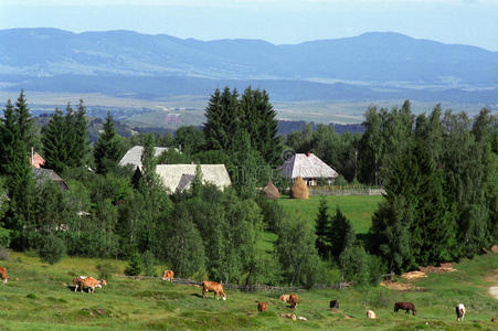 transilvanian村