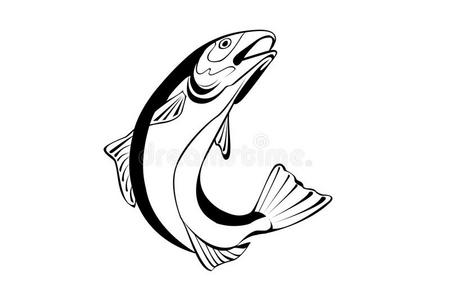 鱼的插图