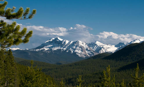 山景