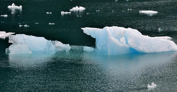 阿拉斯加冰川湾的冰山