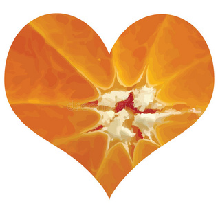 柑橘的爱