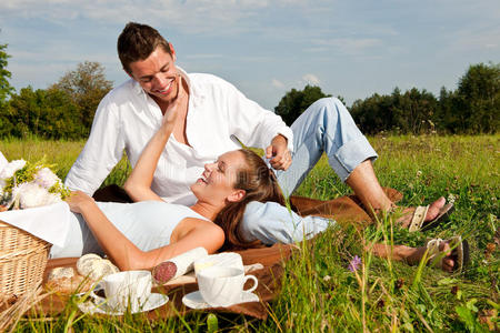 夏季野餐草地上的快乐夫妻