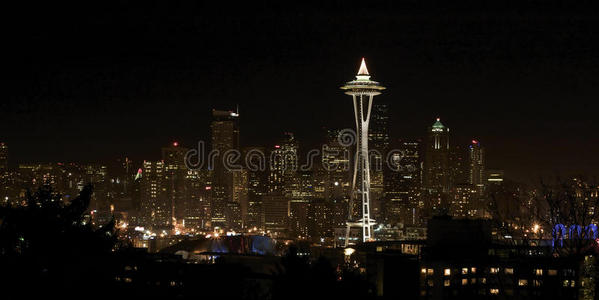 西雅图市区夜景