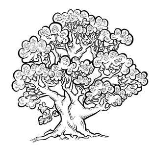 古树滇红夏日古树.徒手画.照片