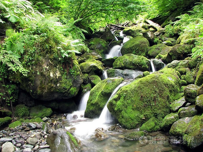 溪水降落瀑布特写镜头森林溪流美丽的野溪高山瀑布森林溪流查看作者