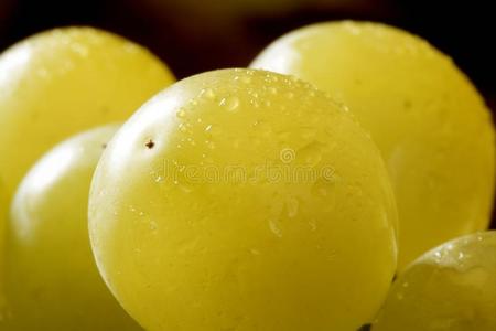 美味的黄色秋葡萄