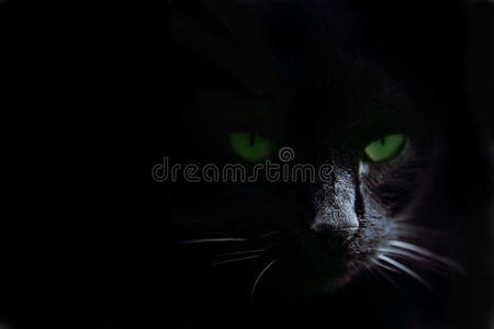 黑暗中的眼睛照片