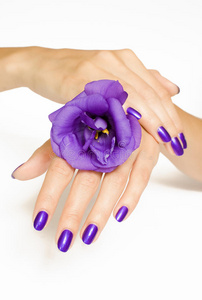 紫花美甲spa
