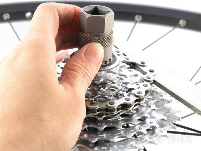 后自行车齿轮盒