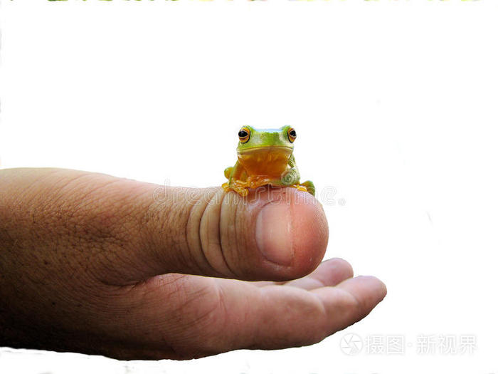 青蛙手指表情包图片