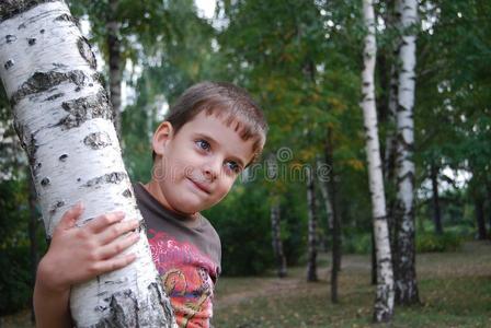 男孩在桦树林里玩。