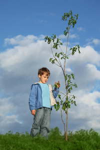 男孩种树
