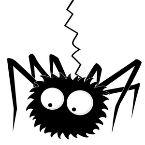 有毒的蜘蛛图片