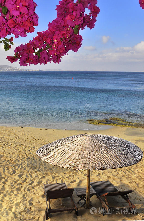 黄沙和天堂海滩的美丽花朵