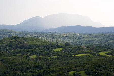 高山热带山谷