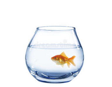 玻璃鱼缸金鱼图片