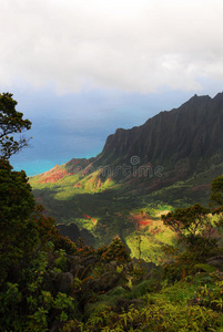 Kaalau山谷俯瞰，考艾岛夏威夷群岛