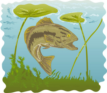 花鱼插画-花鱼手绘-花鱼卡通图-摄图新视界