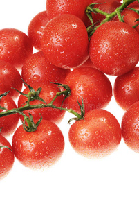 露水的西红柿