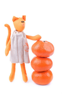 橘子猫