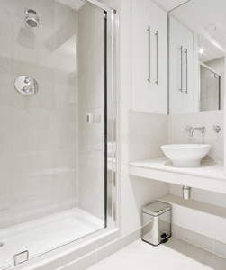 带角落淋浴的现代浴室