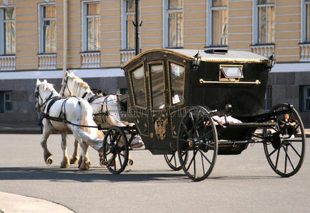 拉马车的马照片