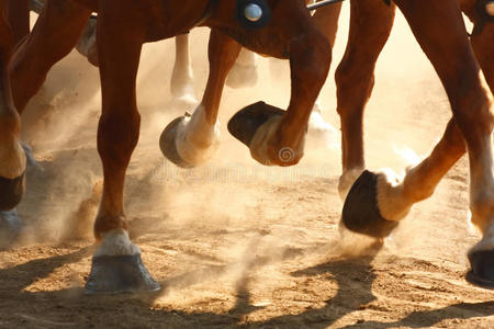 形幸运符号奔腾的马蹄野生动物在木材中的抽象的插图角质脂肪原麝有蹄