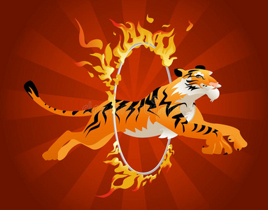 跳蛋不要掉出来老虎从火圈里跳了出来.照片