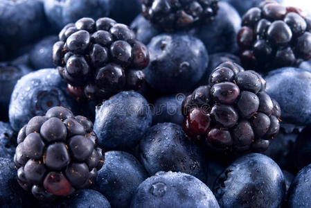 一堆黑莓和蓝莓