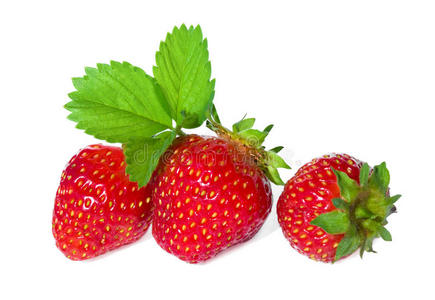 成熟的红草莓。