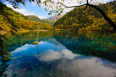 九寨沟森林湖泊景观