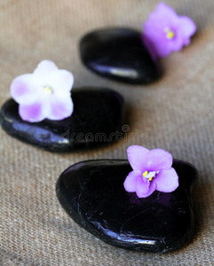 紫丁香花水疗黑石