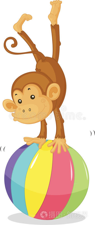 卡通猫轮廓画猴子猴子动物白底蜥蜴狮子蜥蜴大象蠕虫奔跑的猫两只猴子