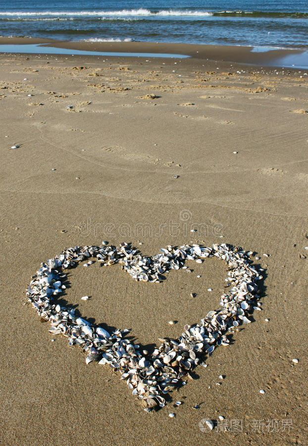 海滩上的贝壳心