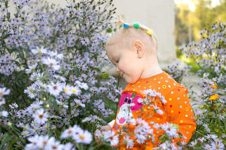 小女孩在公园里玩紫菀花。