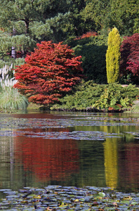 乡村秋色湖景