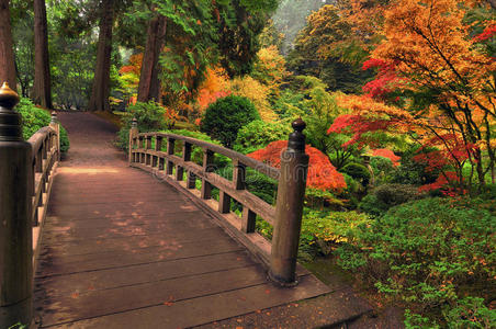 秋天的桥