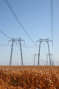 能量 电缆 权力 秋天 玉米 传输 燃料 行业 供给 天空