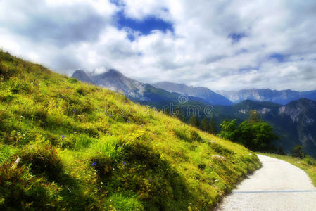 高山草甸与道路