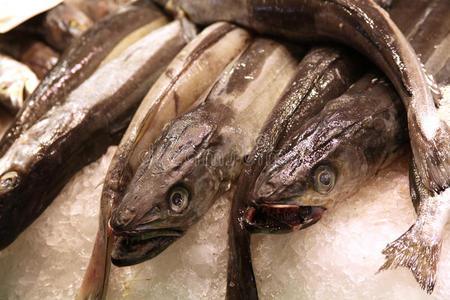 食品市场上的铜鱼