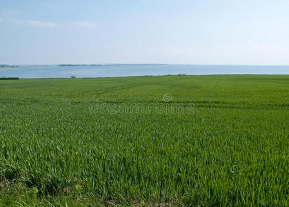 春夏绿野海景