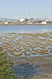 炼油厂