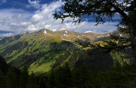 高山景观