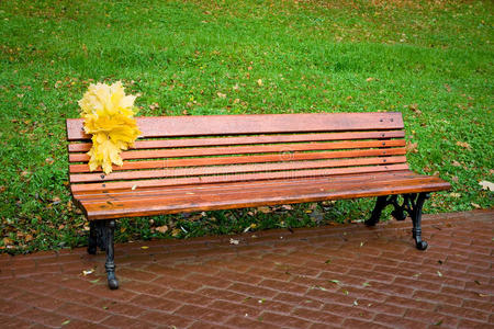 红色长凳上的黄叶