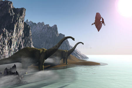 灭绝 双目 飞行 侏罗纪 翼手龙 蜥蜴 有机体 恐龙 进化